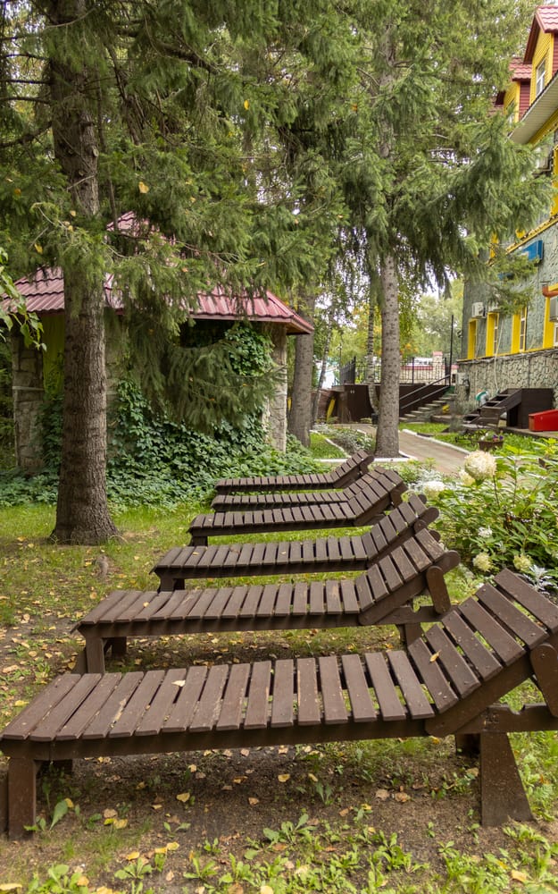 Шезлонги под деревьями