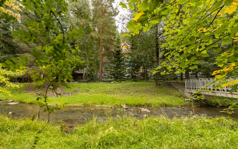 Зелёный берег у отеля